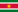 Escudos y banderas de Suriname
